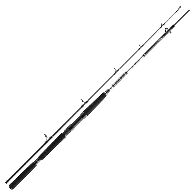 Daiwa BG Offshore Boat rod