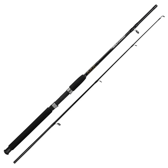 Fishdream Fiber Spinning Spezial two-piece composite rod