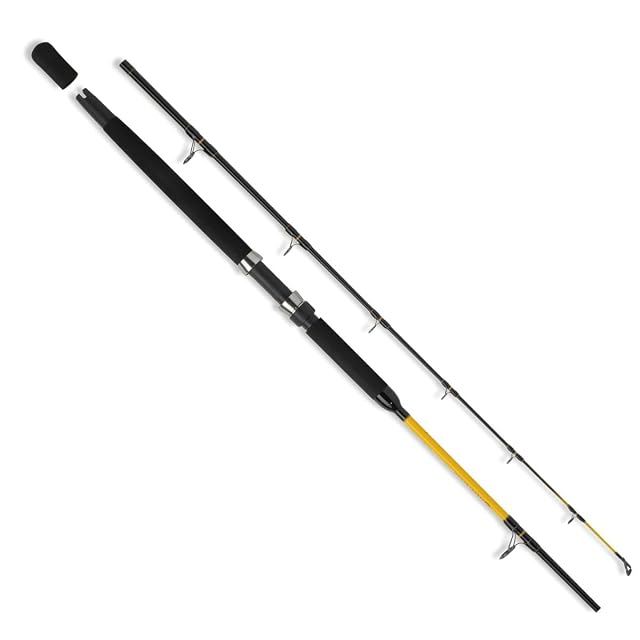 WFT Never Crack Fjordspin two-piece boat rod with screw reel seat